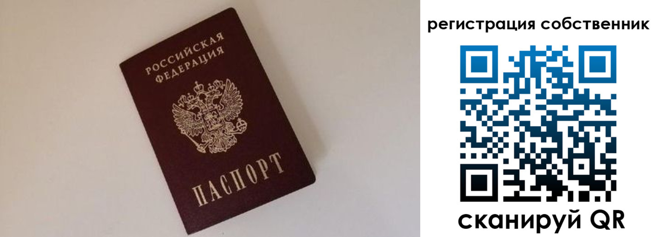 временная регистрация надежно в Немане